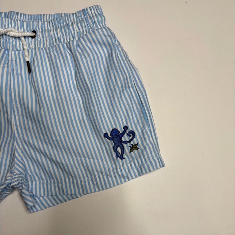 Roller Rabbit Light Blue Striped Shorts - Picture 3 of 3